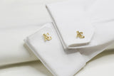 ASTERIA INITIAL STUDS FOR REAL STUDS